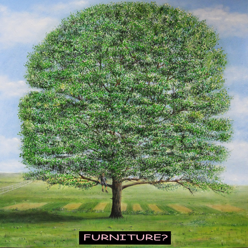 FURNITURE? by Paul Whitehead