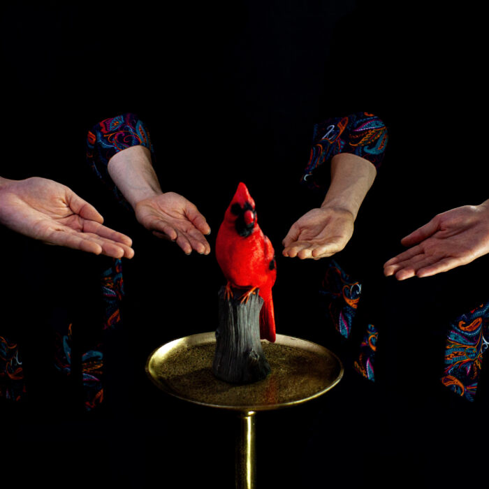 Red Bird Cover